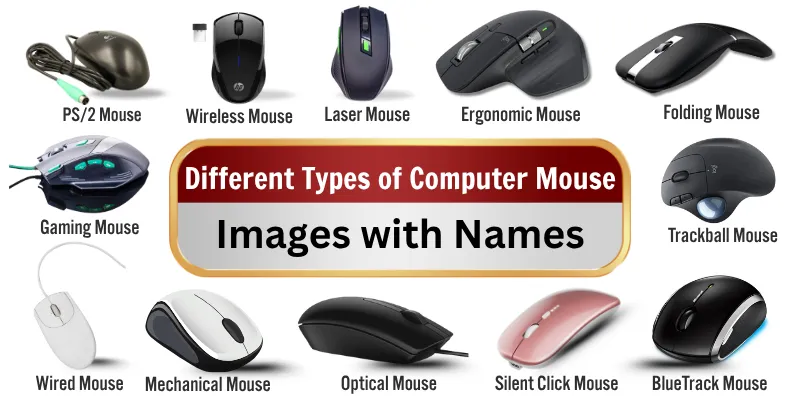 different types of computer mouse images names