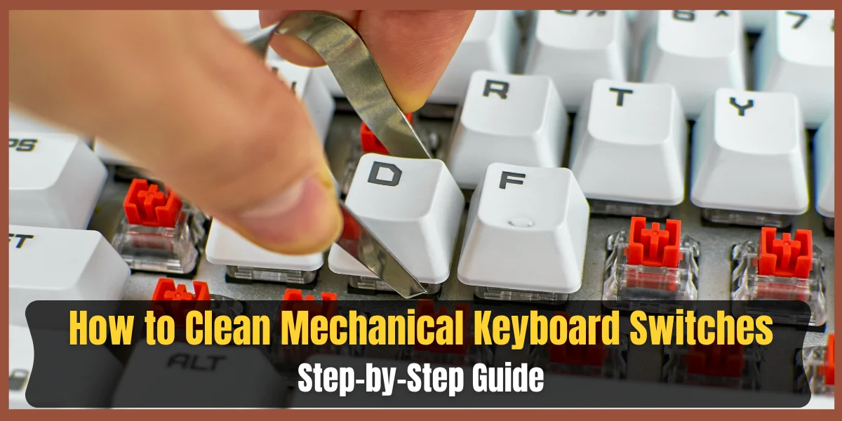 how to clean mechanical keyboard switches guide