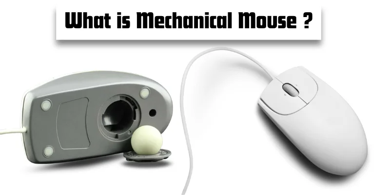 graphics shows front and back image of mechanical mouse with headings what is mechanical mouse
