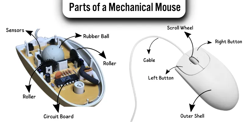 Labeled diagram showing internal and external parts of a mechanical mouse with ball, rollers, and buttons, circut board etc.