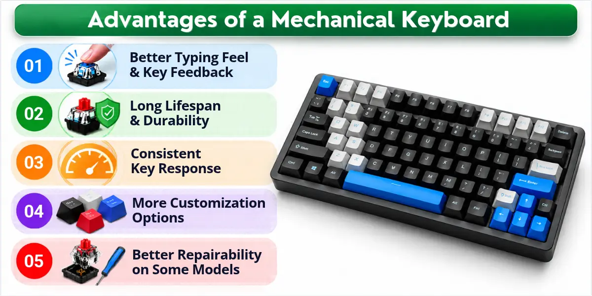 Five benefits of a mechanical keyboard, shown in an infographic with a keyboard illustration.