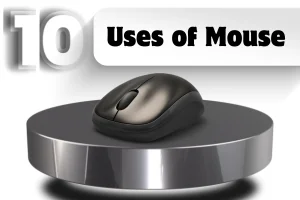 10 Uses of Mouse – Explained Simply for Beginners