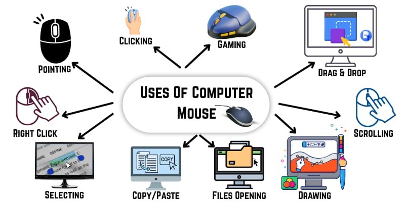 An infographic showing 10 uses of mouse in a computer, such as pointing, clicking, right-clicking, dragging and dropping, gaming, scrolling, selecting, copying and pasting, file opening, and drawing.