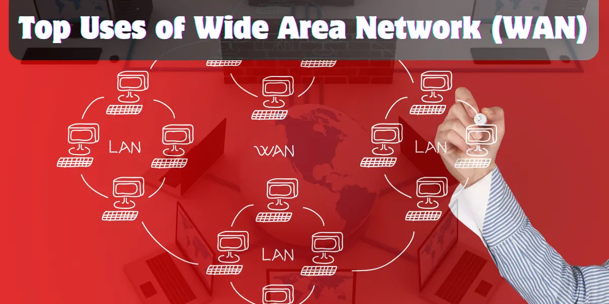 what are the uses of wan (wide area network)