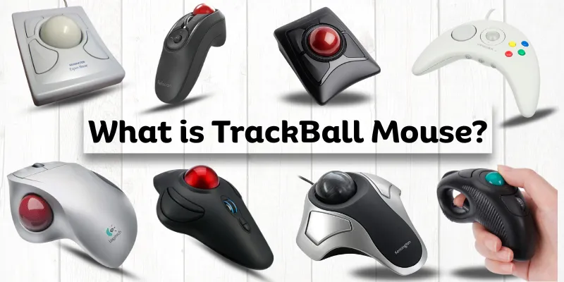 What is TrackBall Mouse title with multiple trackball mouse images in different designs and types