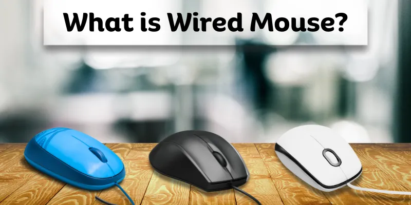 Different types of wired mouse placed on a wooden table with the text 'What is Wired Mouse?' displayed above.